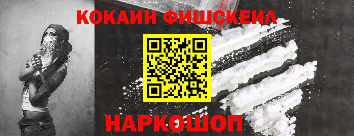 КОКАИН FishScale  COCAIN FishScale  Россия 