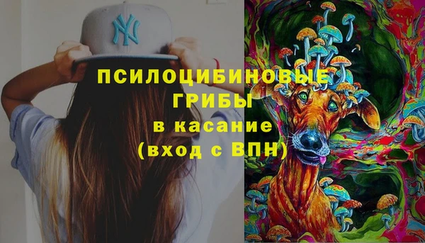 ПСИЛОЦИБИНОВЫЕ ГРИБЫ Михайлов