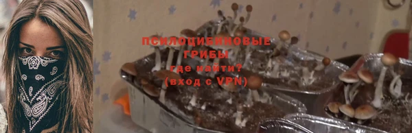 соль ск Медвежьегорск