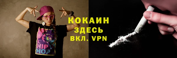 ПСИЛОЦИБИНОВЫЕ ГРИБЫ Михайлов