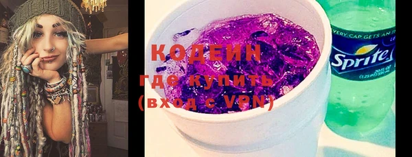 ПСИЛОЦИБИНОВЫЕ ГРИБЫ Михайлов