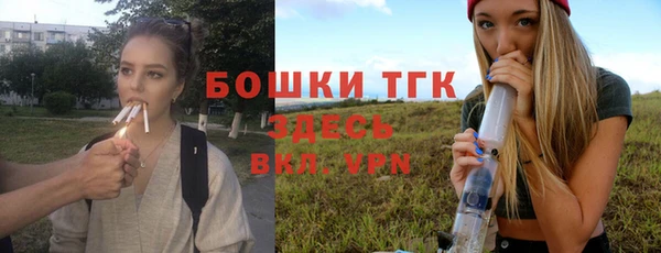 соль ск Михайловск