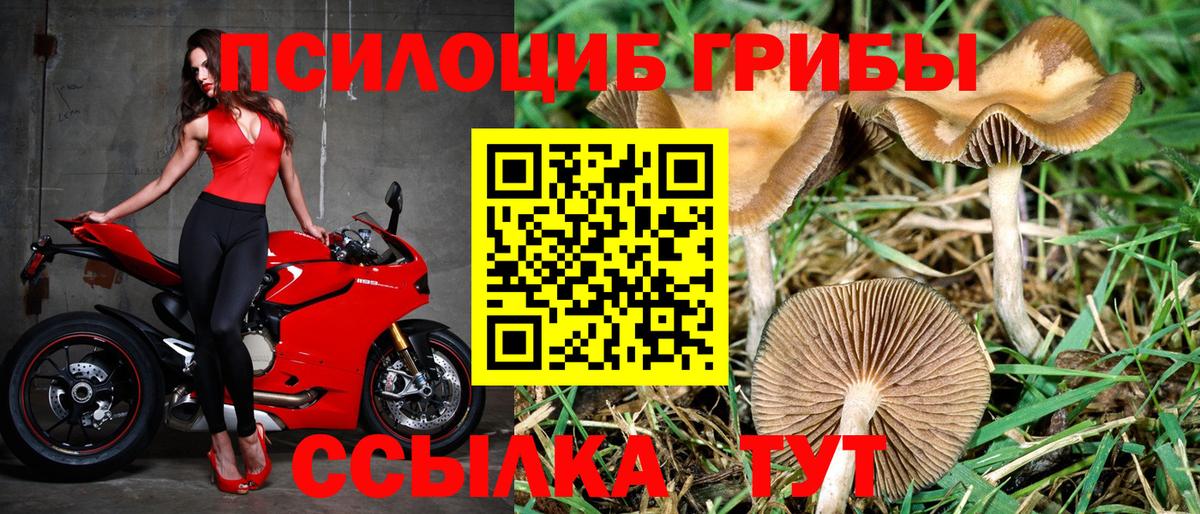 Марихуана  МАРИХУАНА  Вход с VPN  Россия  A PVP СК   Меф МЯУ МЯУ   COCAIN 