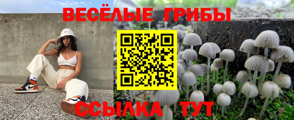 Псилоцибиновые грибы мухоморы Россия