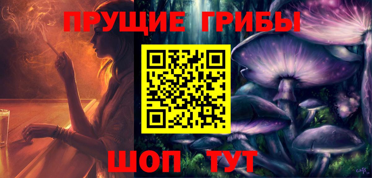 Галлюциногенные грибы Cubensis Россия